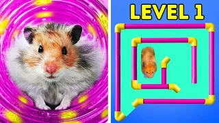 I Built a Trickiest Maze for a HAMSTER! | Rainbow Friends Style 🐹
