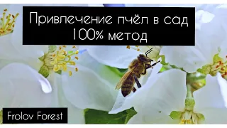 Как привлечь опылителей на плодовые деревья?!