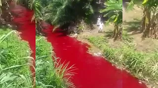 River Turns Into Red Like Blood