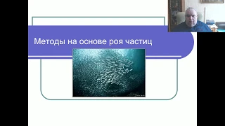 Эвристические алгоритмы. Часть 4. Метод роя частиц