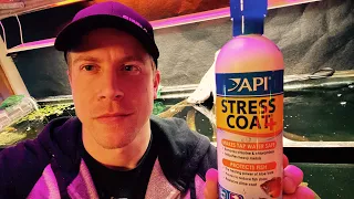 How to Use API Stress Coat Conditioner