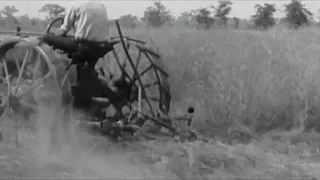 Farmall Farming Marches On