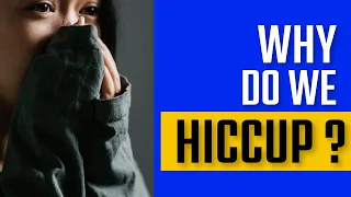 WHY DO WE HICCUP?