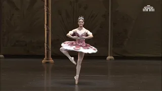 "Le Pavillion d'Armide" variation. Het National Ballet.