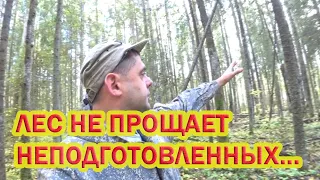 Самый главный инструмент для грибника