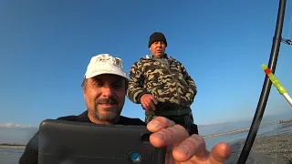 Ловля кефали с берега на острове Джарылгач. Лазурное 2019. Mullet fishing from the shore. Black Sea