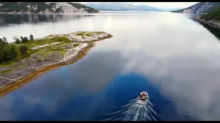 NORDIC SPEARFISHING PARADISE | Northern Norway | Epic Nature and Wildlife Experiences