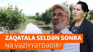 “Vətəndaşın voobşe qeydinə qalmırlar” - Zaqatala seldən sonra nə vəziyyətdədir?