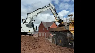 Liebherr R920 Compact loading dirt.