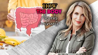 How The Body Absorbs Nutrients!