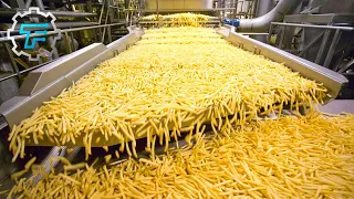 Wie Pommes Frites Hergestellt Werden In Der Fabrik (Du Wirst Nicht Glauben, Was Passiert!)