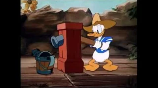 Donald duck "Donal's Garden and Dude Duck"