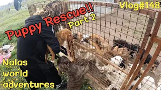 Rescue mission 🐶🐶🐶 (Pt. 2) Vlog #148