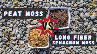 Peat Moss Vs Sphagnum Moss: Best Venus Flytrap Soil Mix Substrate - What Is The Difference?