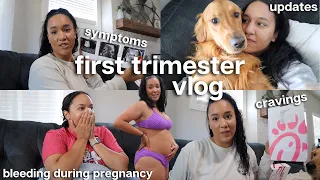 1st Trimester Vlog 🤰🏽 symptoms, bleeding during pregnancy, cravings, updates, announcing + more...