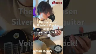 The Jensen Silverbird 12 is voiced to rock! https://www.jensentone.com/jet-series/12-silverbird-12