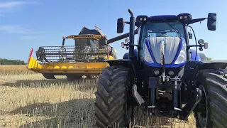 Rzepak 2022 /GR Mozga/ nowe nabytki - Pronarki  PT612 / New Holland T5110 /T7 270 blue power /CX5.80