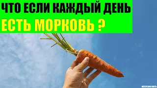 Что будет если каждый день есть морковь?