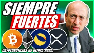 🔴¡NO VENDAS EN PÉRDIDAS! 👉 Noticias Criptomonedas (HOY) XRP | Ethereum | Luna | Bitcoin | Cardano