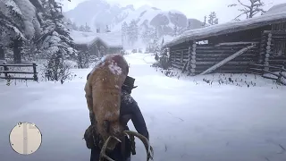 RDR2 - When you're the only one who brings food