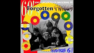 60's Forgotten Things Vol. 6 - The Vol. 6! (60'S GARAGE COMPILATION)