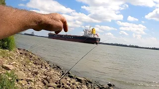 Catching A Bull Shark In The Mississippi River