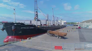 Bellingham Shipping Terminal - Loading logs into the vessel "African Egret"