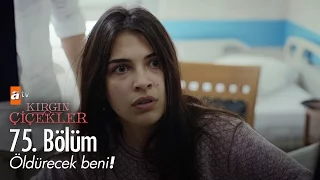 Öldürecek beni! - Kırgın Çiçekler 75. Bölüm - atv