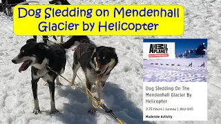 Unforgettable Helicopter Ride and Dog Sledding on Mendenhall Glacier with Sea Leg Journeys