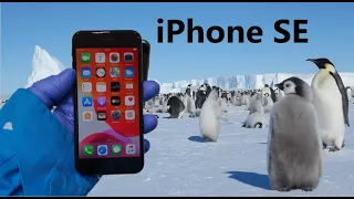 iPhone SE 2020 Historia Prawdziwa