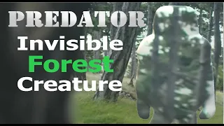 Invisible Forest Creature  "BIGFOOT Monster in the Woods"