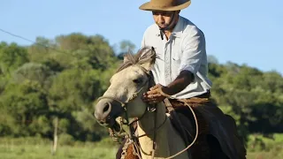 FIRMADO NOS ARREIO -  OS RIBEIROS