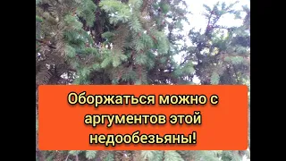 я взяла свои родные деньги. Вы о чём? "Кредит экспресс"!