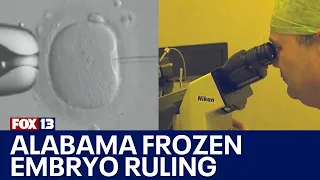 Alabama frozen embryo ruling impacts IVF | FOX 13 Seattle