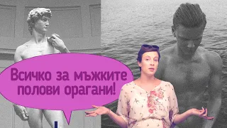 Мъжките полови органи. Как работи пенисът?