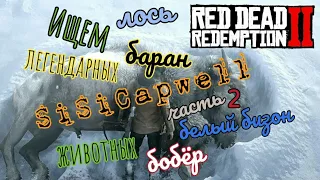 Red dead redemption 2 /Ищем легендарных животных/Часть 2/Лось/Бобёр/Баран/Белый бизон