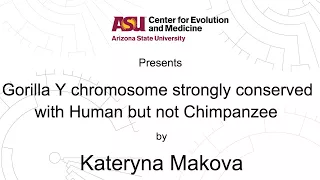 Gorilla Y chromosome strongly conserved with Human but not Chimpanzee | Kateryna Makova