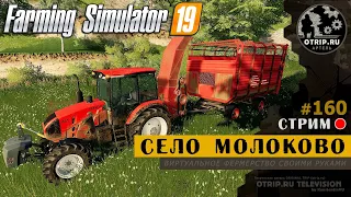 Farming Simulator 19 ● Карта Село Молоково / стрим 160