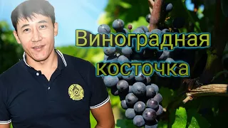 Азамат Исенгазин -Виноградная косточка