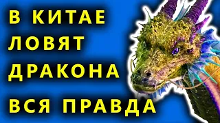 В Китае проснулся дракон, Страшные звуки в горах, Дракон в Китае  - правда или  очередной фейк ?