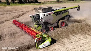 4Kᵁᴴᴰ Harvest 2023: Forrest Farm's Claas Lexion 8900 TT cutting OSR in the rolling hills of Suffolk