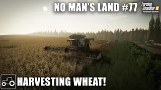 Harvesting Wheat, Canola & Baling Straw, No Man's Land #77 Farming Simulator 19 Timelapse