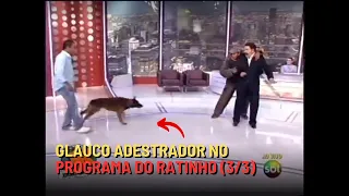 🔴 Glauco Lima Adestrador de Cães no PROGRAMA DO RATINHO (3/3) | Glauco Lima Treinador