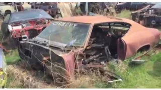 Chevelle junkyard  1964-1972