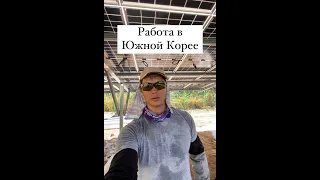 Работа в Южной Корее