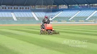 Outfield Grass Stripes