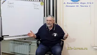 Какие женщины нравятся мужчинам