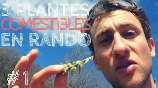 3 PLANTES COMESTIBLES EN RANDONNÉE - PYRÉNÉES AVRIL