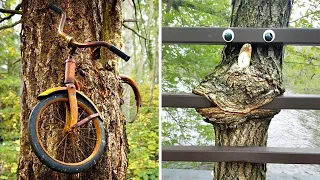 Arboles Devorando Cosas Demostrando Que La Naturaleza Prevalece