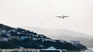 10 Minutes Of Windy Plane Spotting At Dusk | Wellington Airport